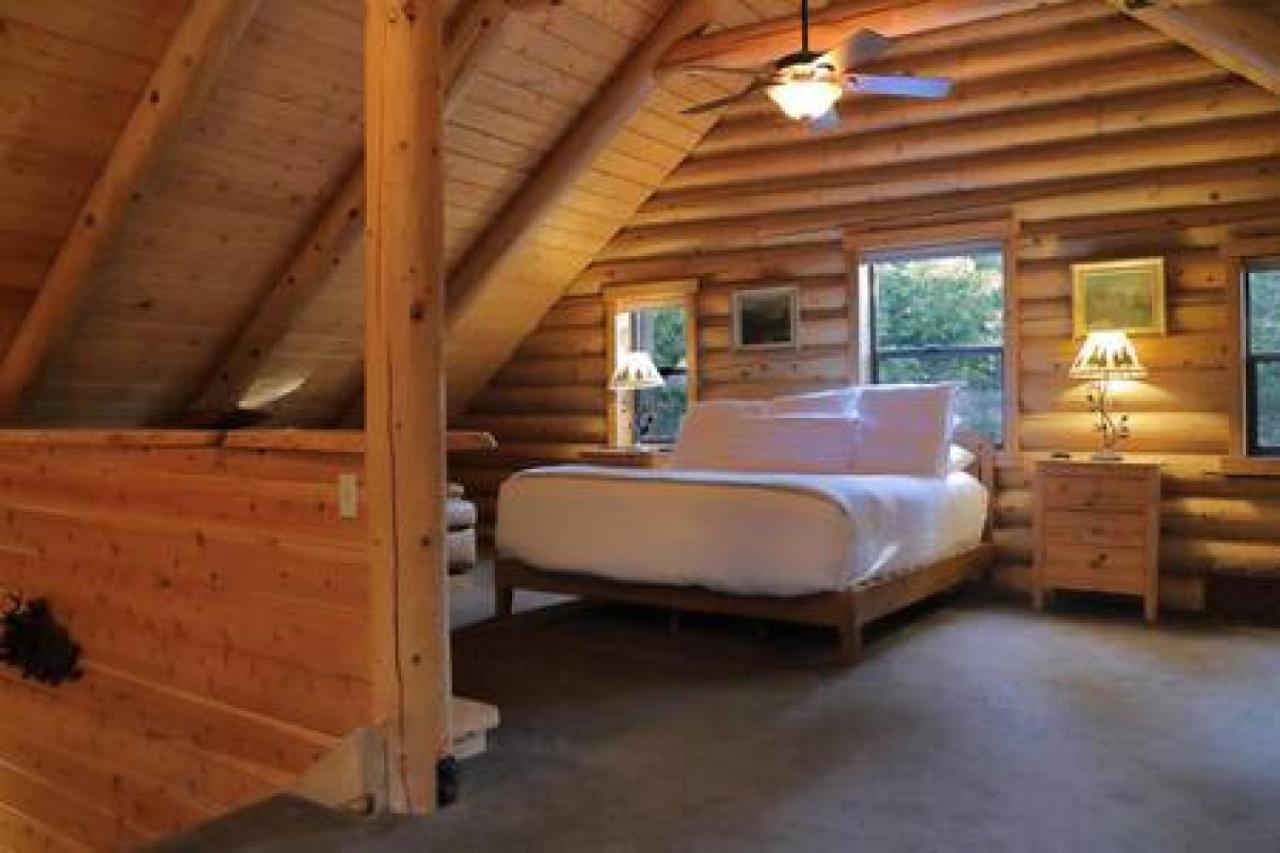 Eagles Nest - Natural Log Cabin With Guest House Idyllwild Dış mekan fotoğraf