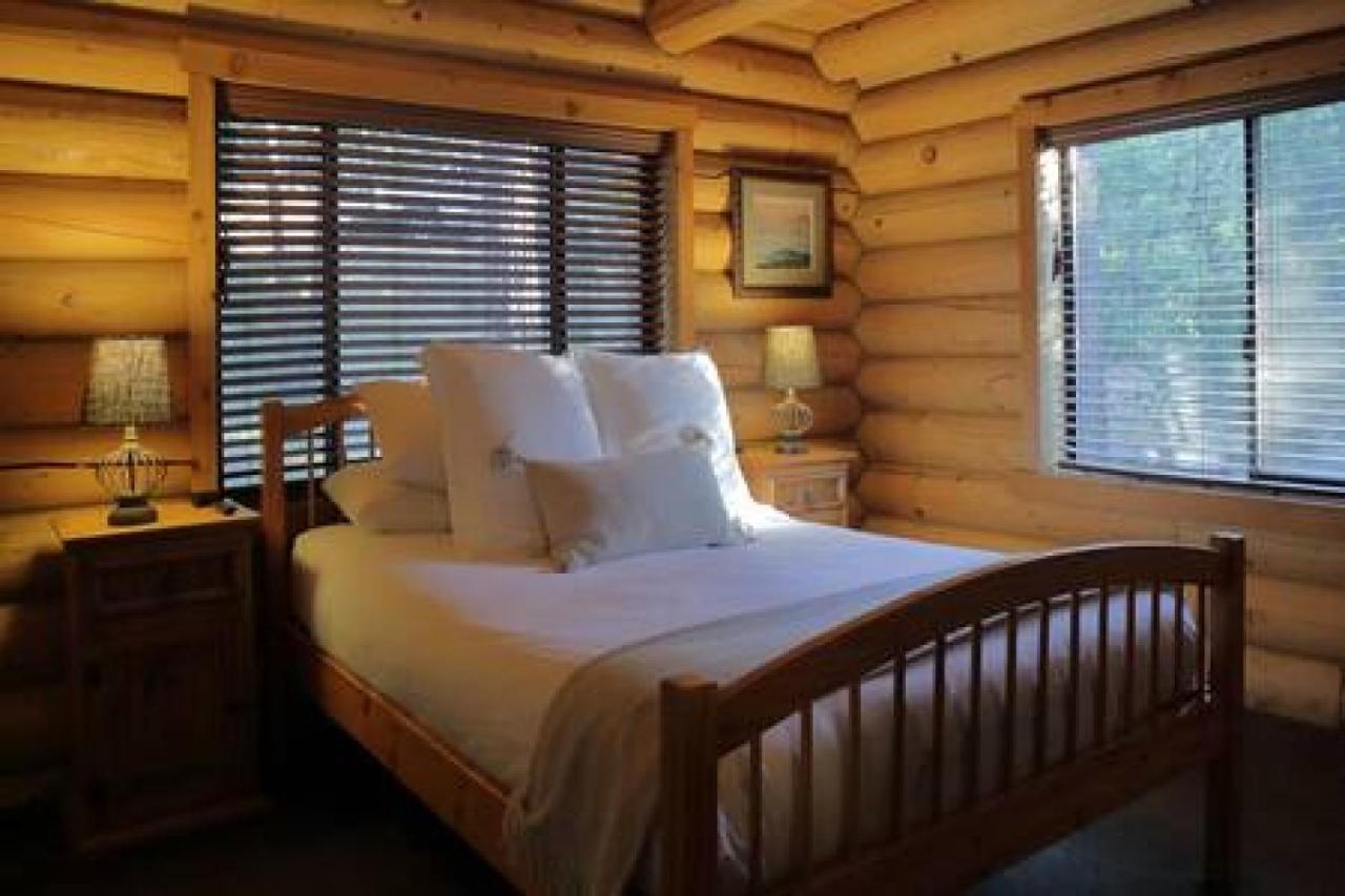 Eagles Nest - Natural Log Cabin With Guest House Idyllwild Dış mekan fotoğraf