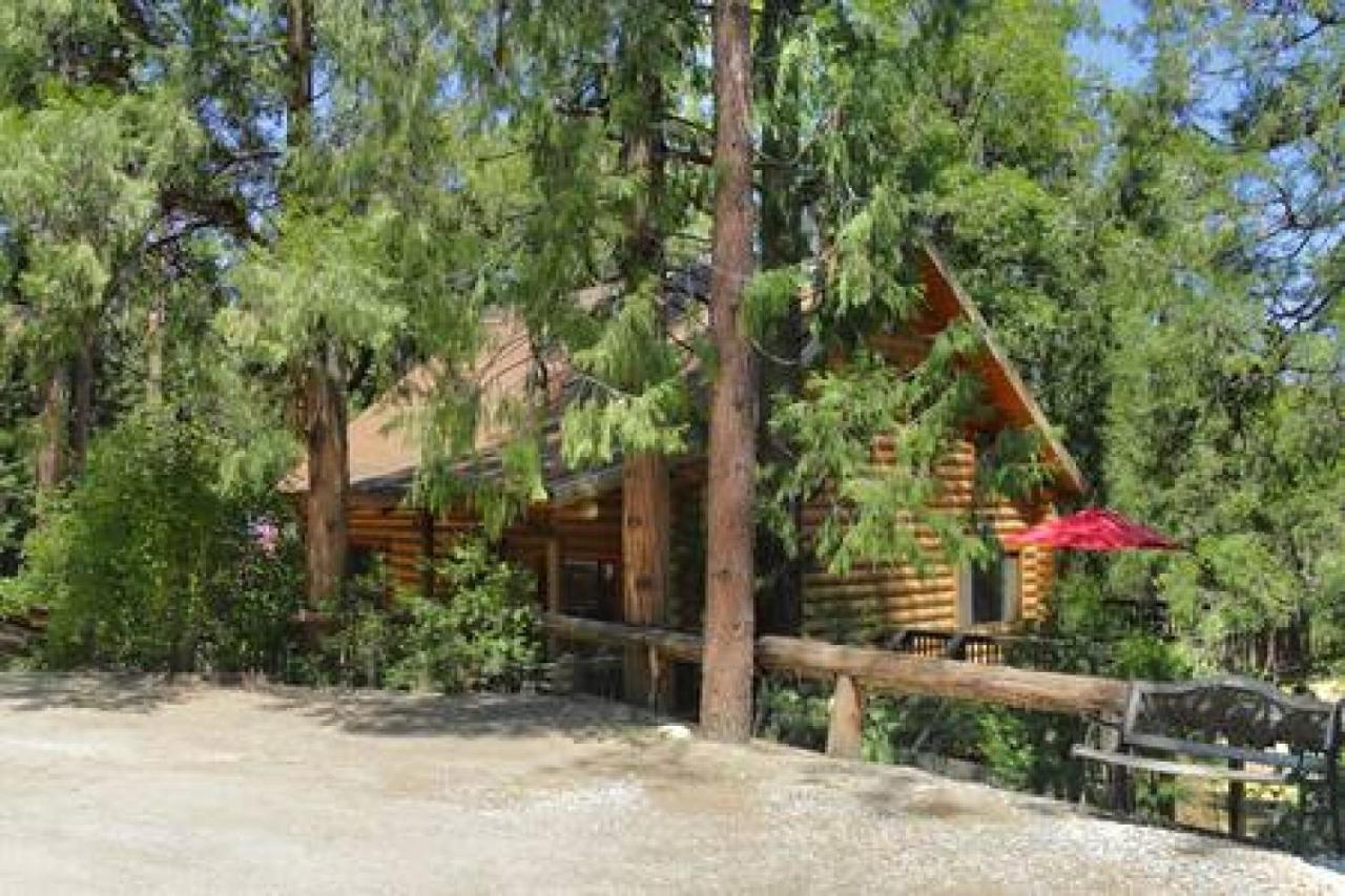 Eagles Nest - Natural Log Cabin With Guest House Idyllwild Dış mekan fotoğraf