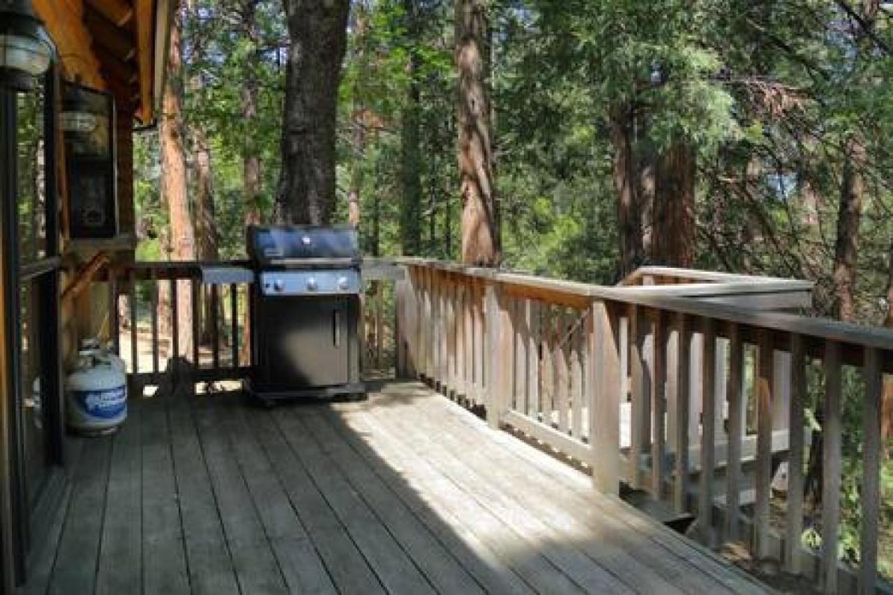 Eagles Nest - Natural Log Cabin With Guest House Idyllwild Dış mekan fotoğraf