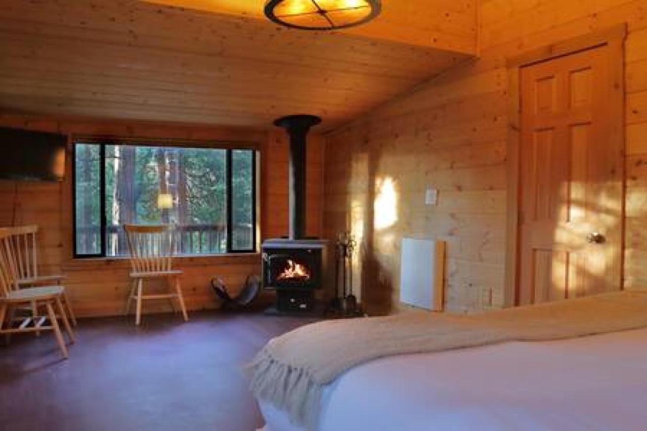 Eagles Nest - Natural Log Cabin With Guest House Idyllwild Dış mekan fotoğraf