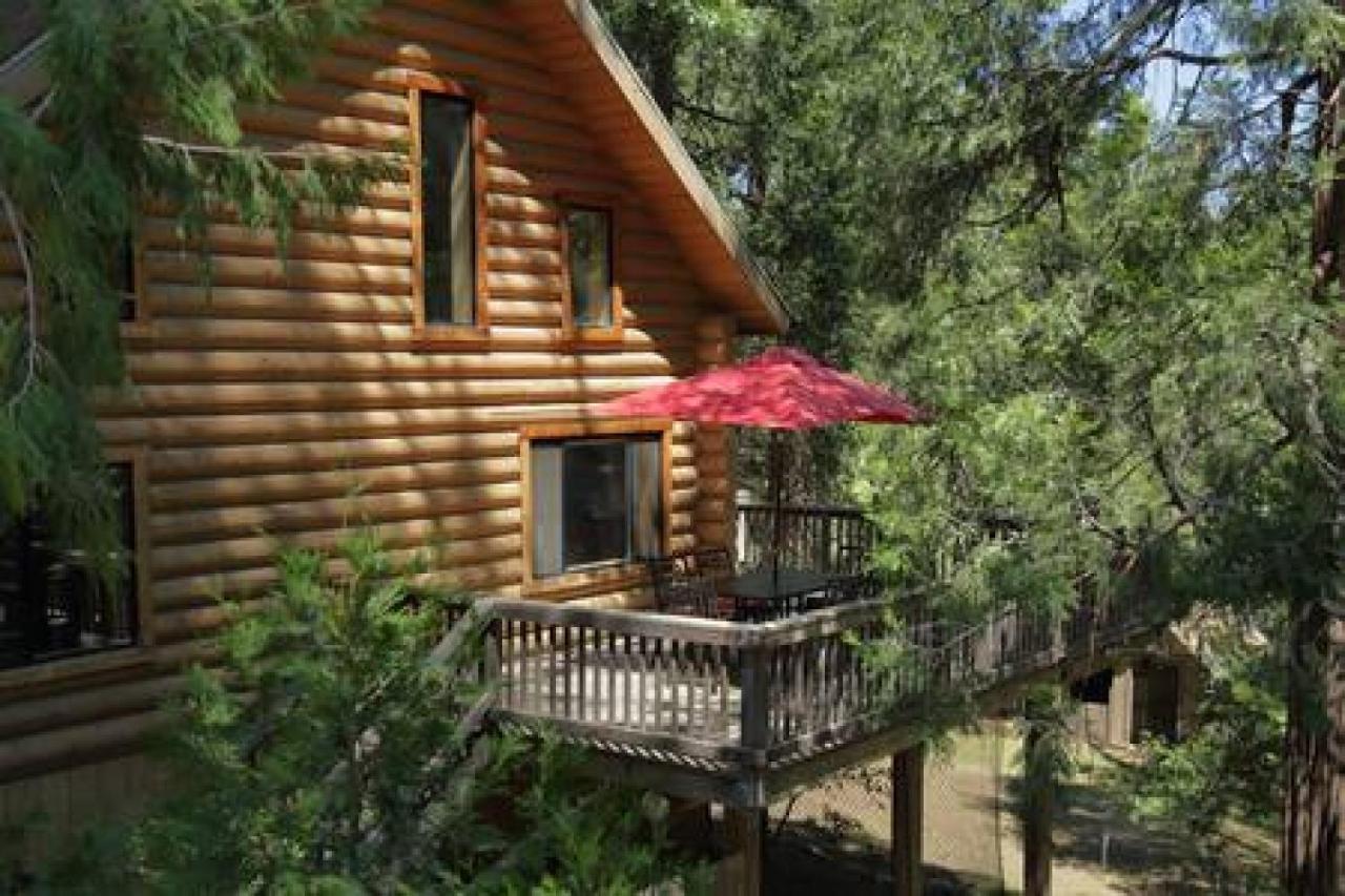 Eagles Nest - Natural Log Cabin With Guest House Idyllwild Dış mekan fotoğraf