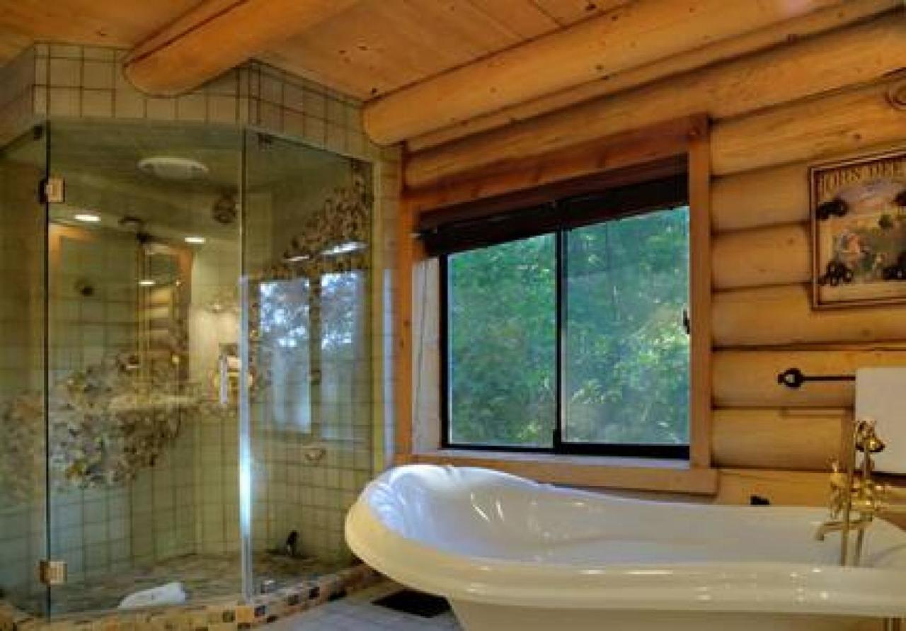 Eagles Nest - Natural Log Cabin With Guest House Idyllwild Dış mekan fotoğraf