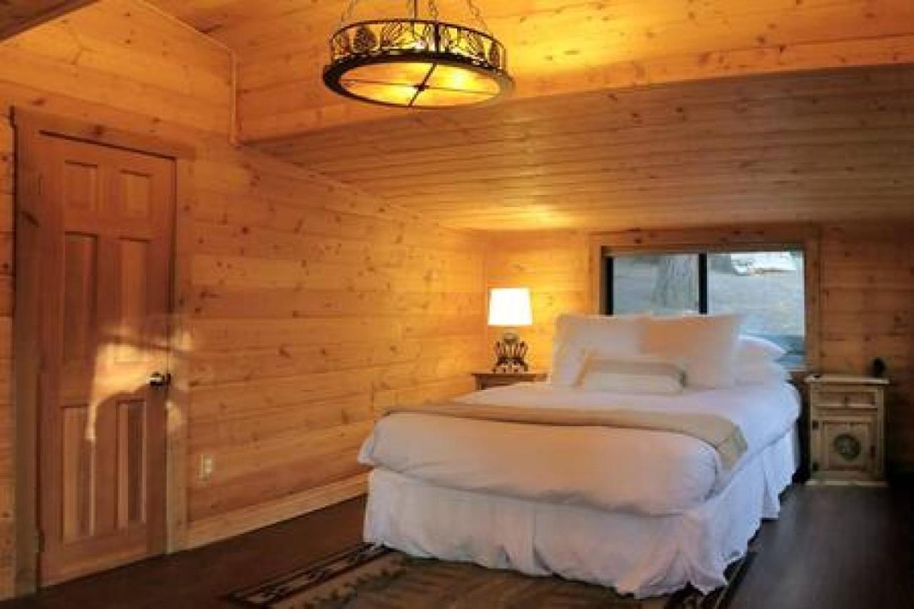 Eagles Nest - Natural Log Cabin With Guest House Idyllwild Dış mekan fotoğraf